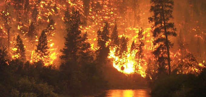 Forest Fires Predictions